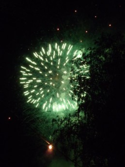 Stark Im Park Saalhausen 2010