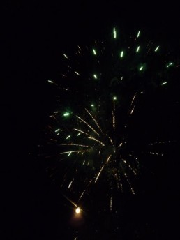 Stark Im Park Saalhausen 2010