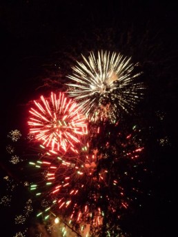 Stark Im Park Saalhausen 2010