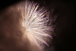 Stark im Park Saalhausen 2011