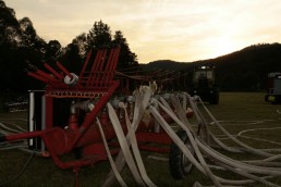 Stark Im Park Saalhausen 2015