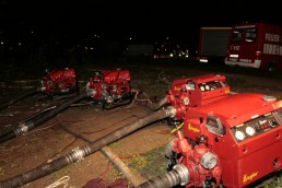 Stark Im Park Saalhausen 2015